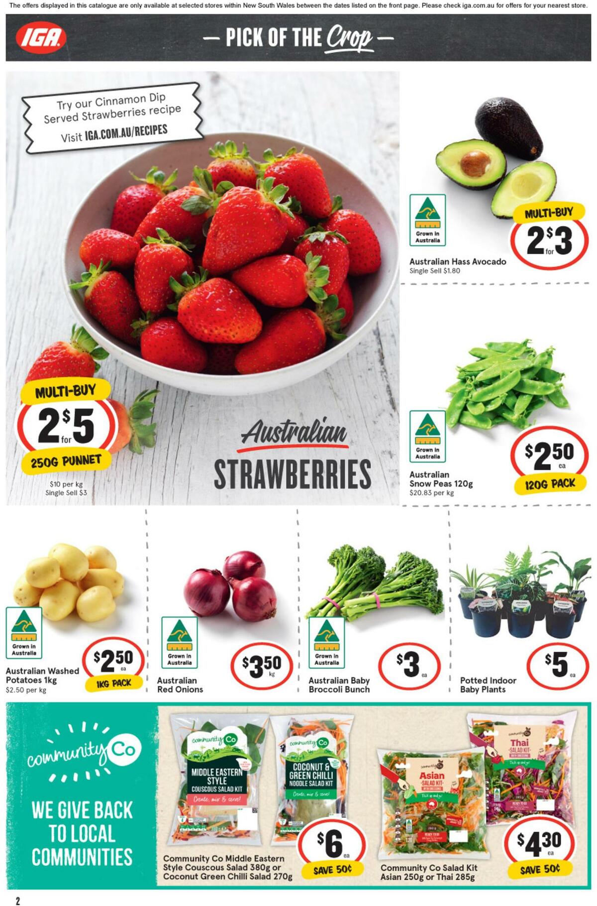 IGA Catalogues from 14 September