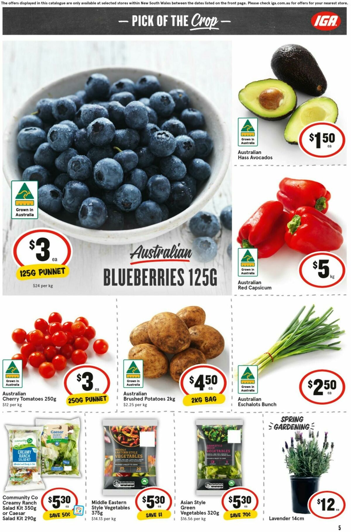 IGA Catalogues from 3 September