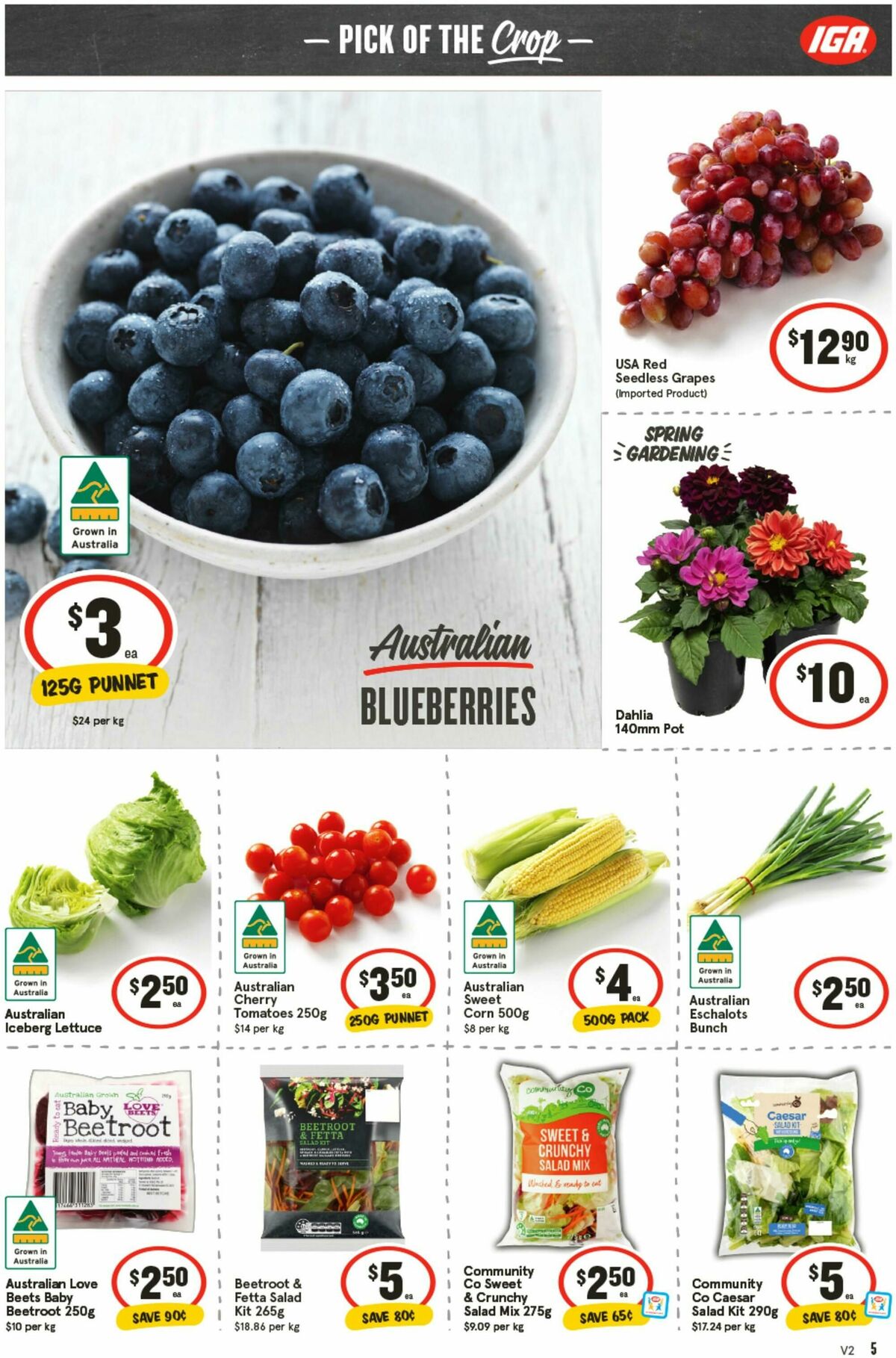 IGA Catalogues from 1 October