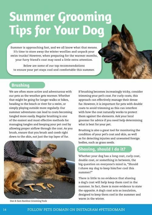 Pets Domain Seasonal Magazine Catalogues from 6 January