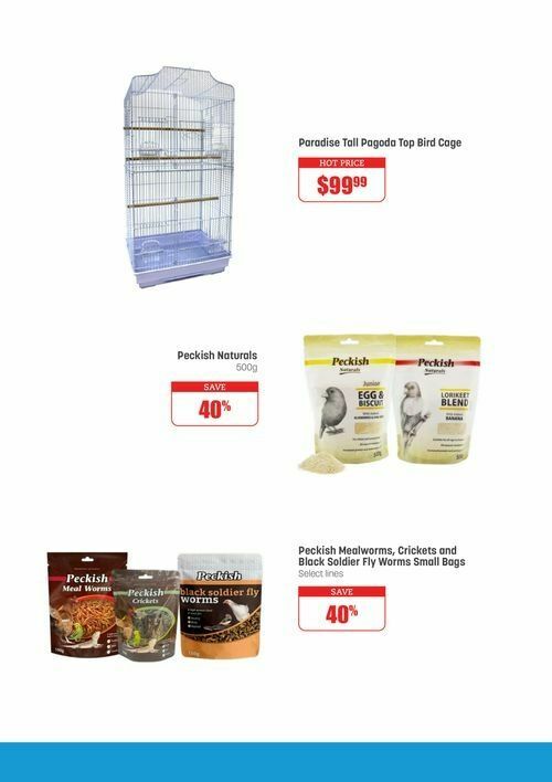 Pets Domain Catalogues from 22 January