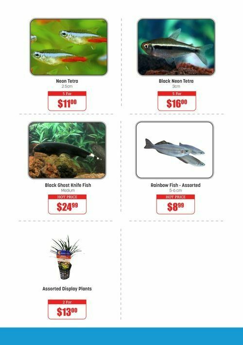 Pets Domain Catalogues from 29 January