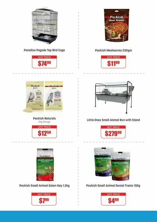 Pets Domain Catalogues from 5 February