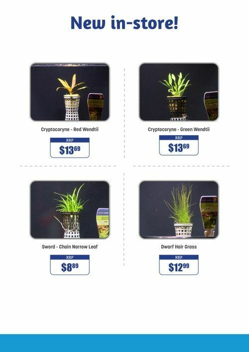 Pets Domain Catalogues from 12 February