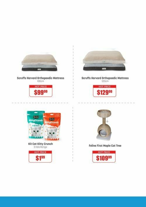 Pets Domain Catalogues from 19 February