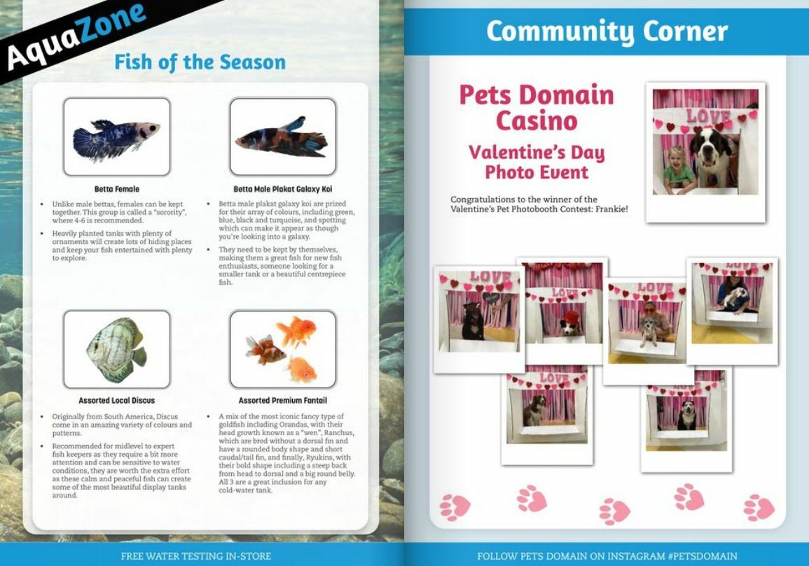 Pets Domain Seasonal Magazine April - June Catalogues from 1 April
