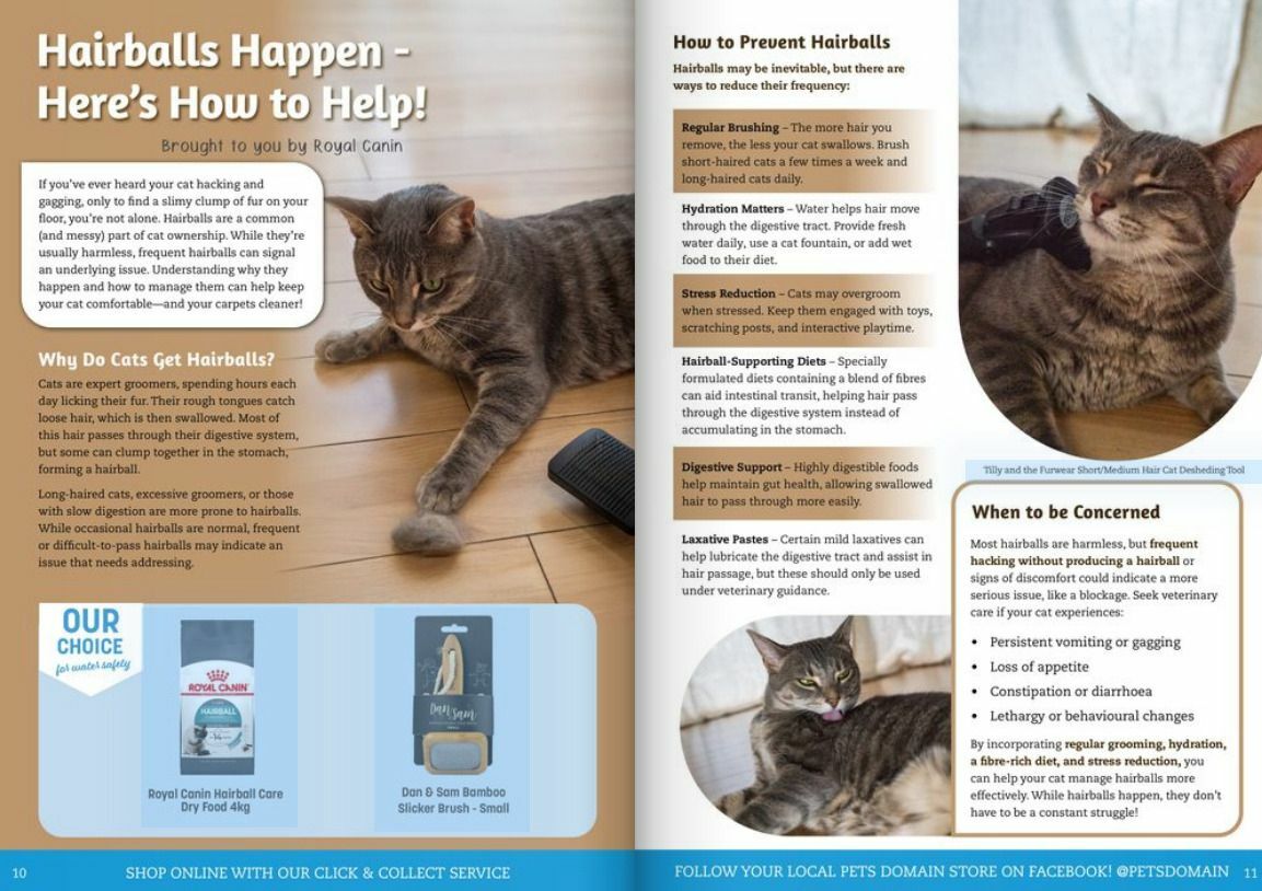 Pets Domain Seasonal Magazine April - June Catalogues from 1 April