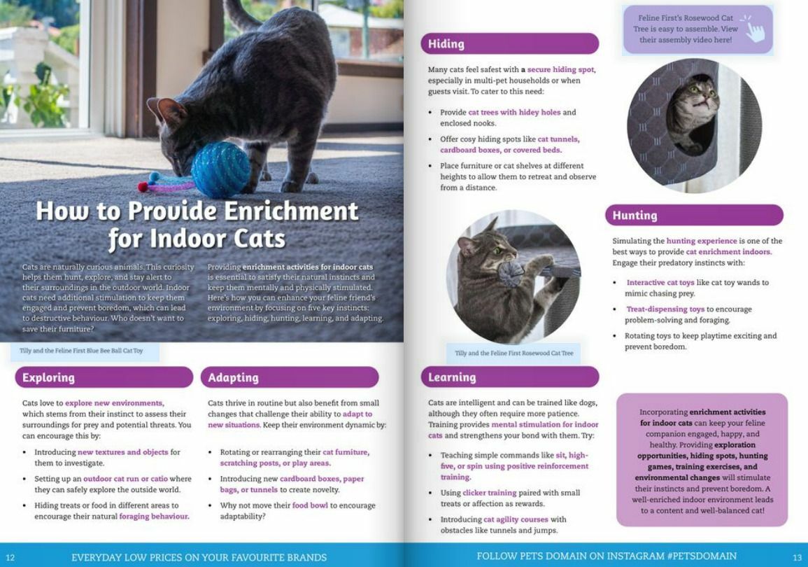Pets Domain Seasonal Magazine April - June Catalogues from 1 April