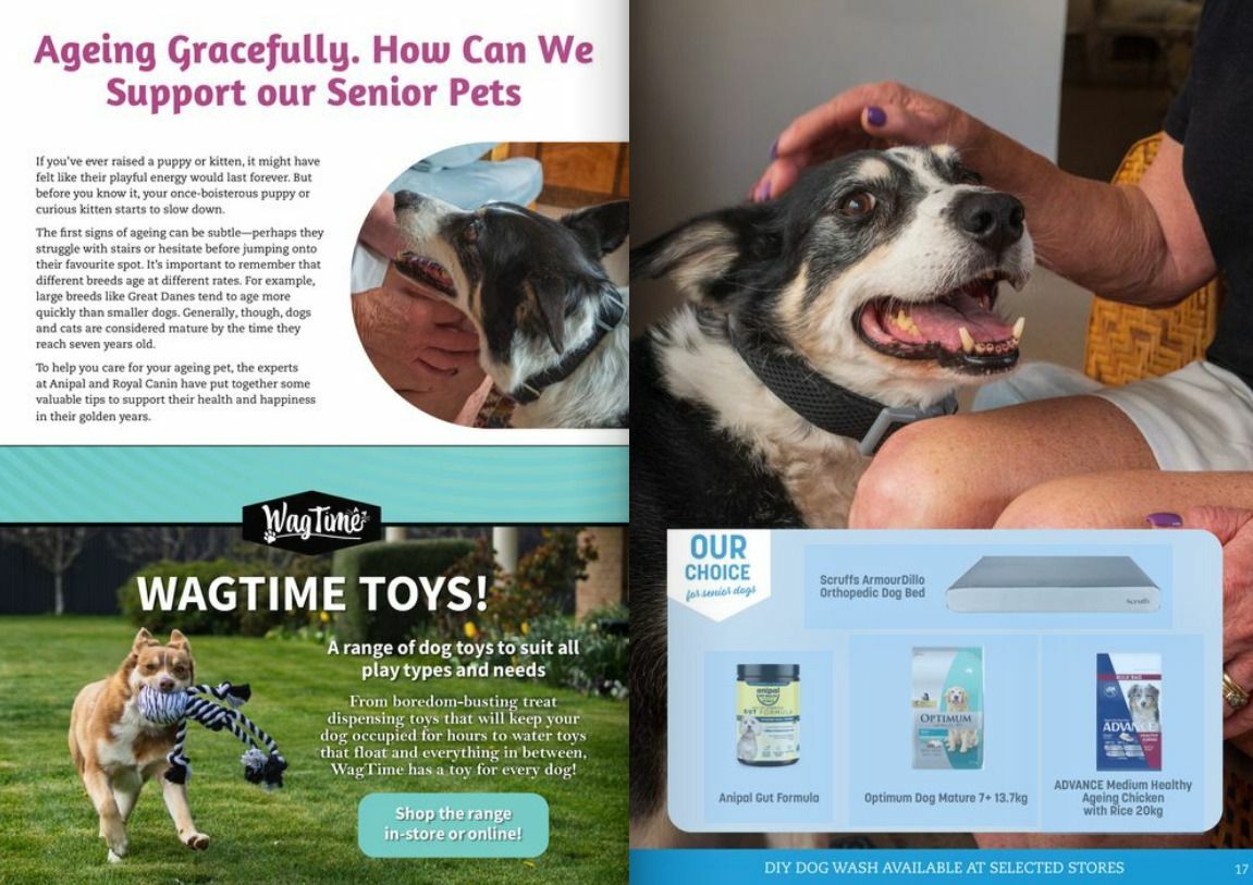 Pets Domain Seasonal Magazine April - June Catalogues from 1 April