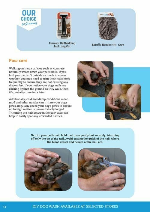 Pets Domain Catalogues from 1 July