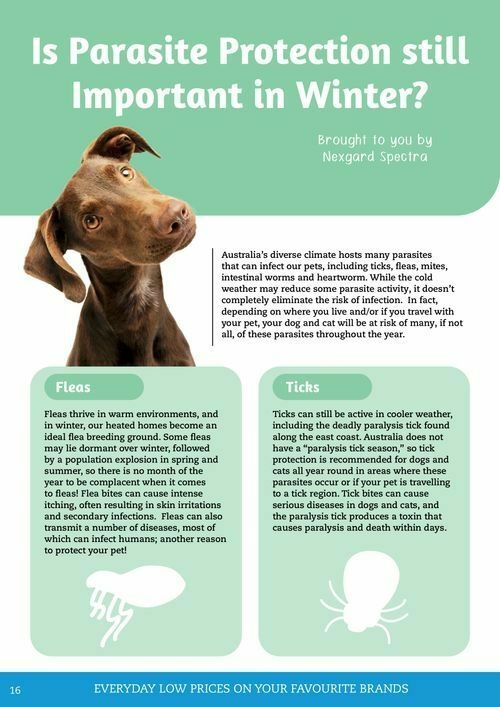 Pets Domain Catalogues from 1 July