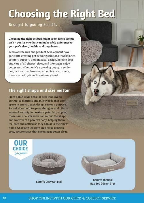 Pets Domain Catalogues from 1 July