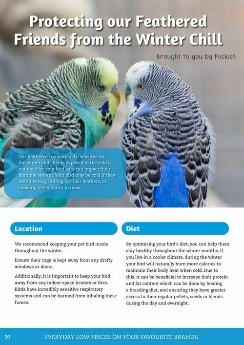 Pets Domain Catalogues from 1 July