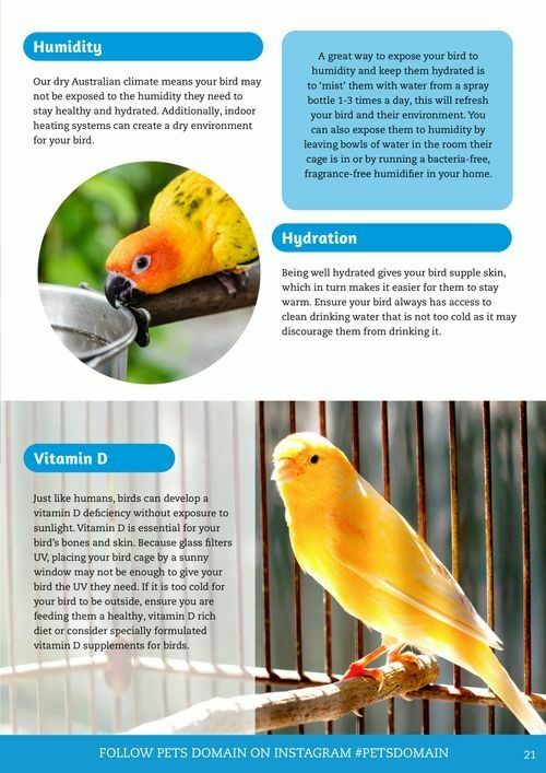 Pets Domain Catalogues from 1 July