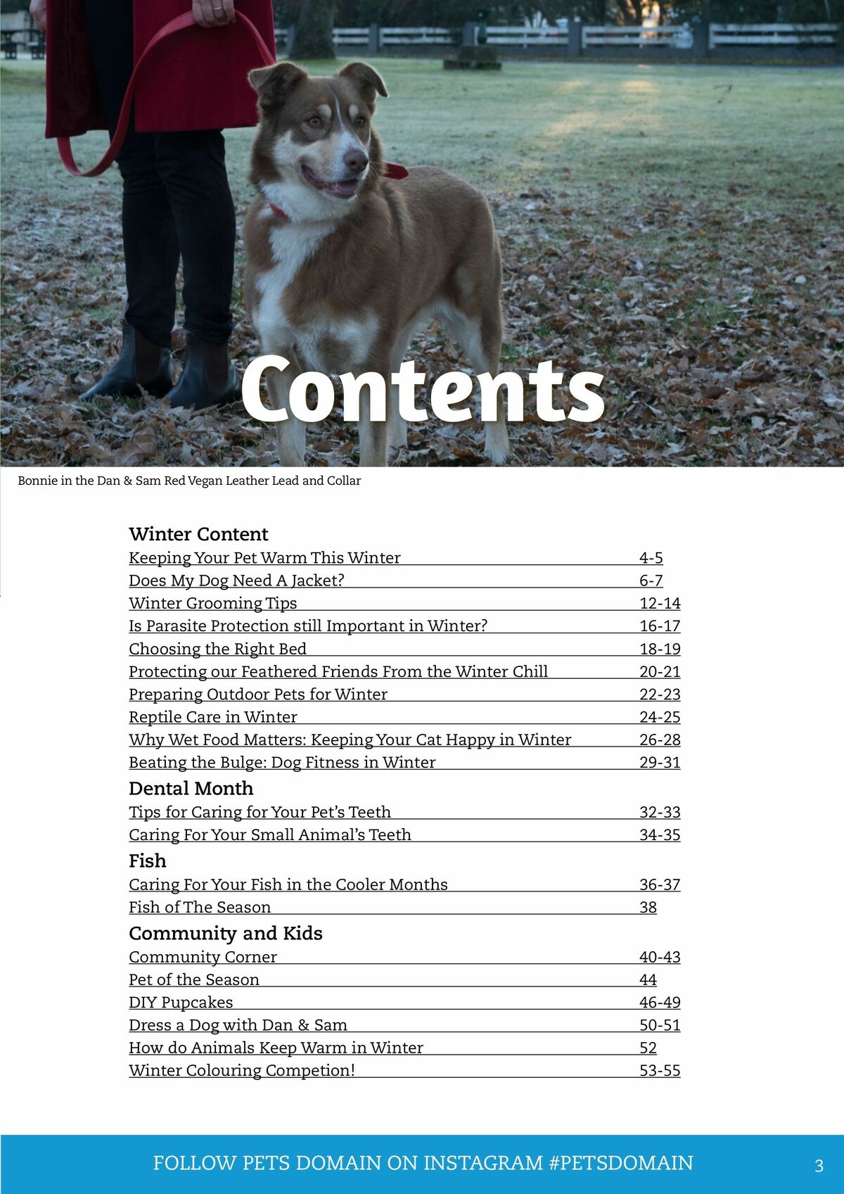 Pets Domain Catalogues from 1 July