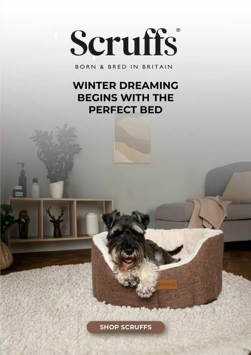 Pets Domain Catalogues from 1 July