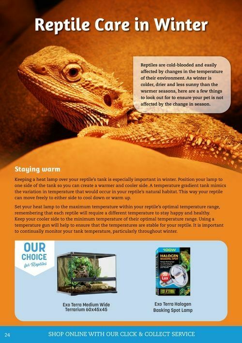 Pets Domain Catalogues from 1 July