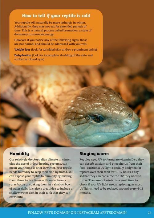 Pets Domain Catalogues from 1 July