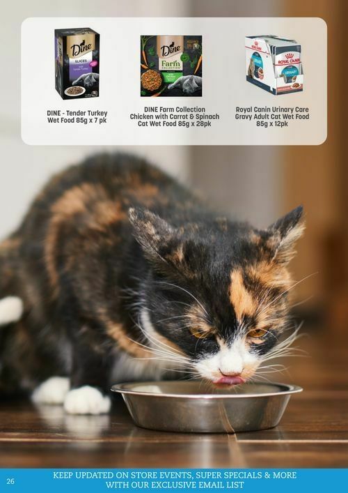 Pets Domain Catalogues from 1 July