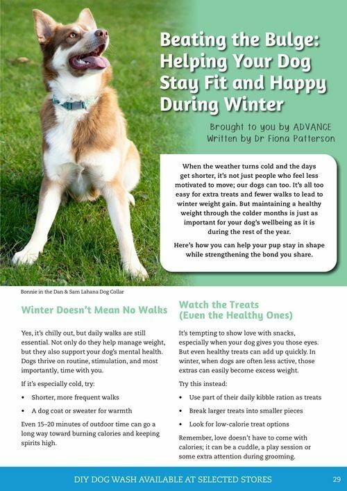 Pets Domain Catalogues from 1 July