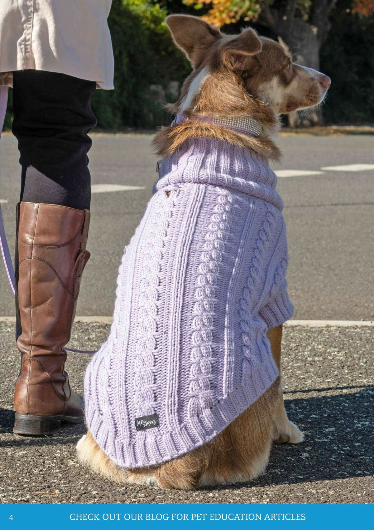 Pets Domain Catalogues from 1 July