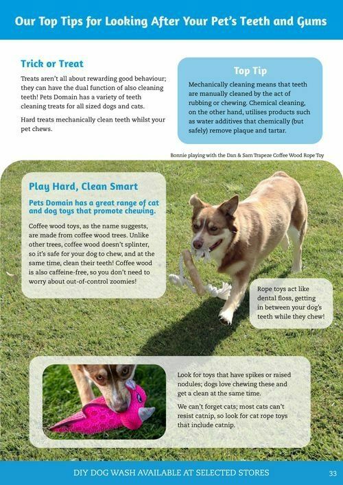 Pets Domain Catalogues from 1 July