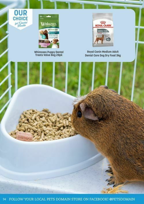 Pets Domain Catalogues from 1 July