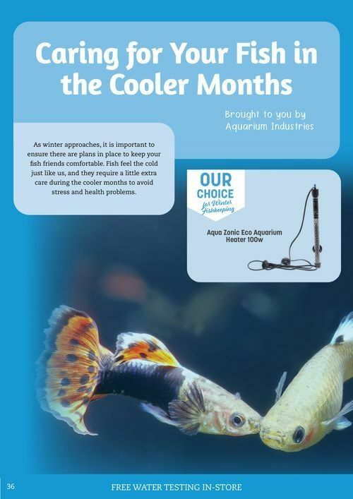 Pets Domain Catalogues from 1 July