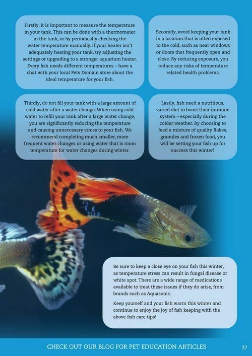 Pets Domain Catalogues from 1 July