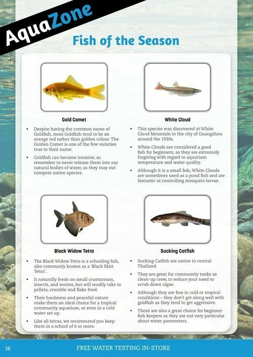 Pets Domain Catalogues from 1 July