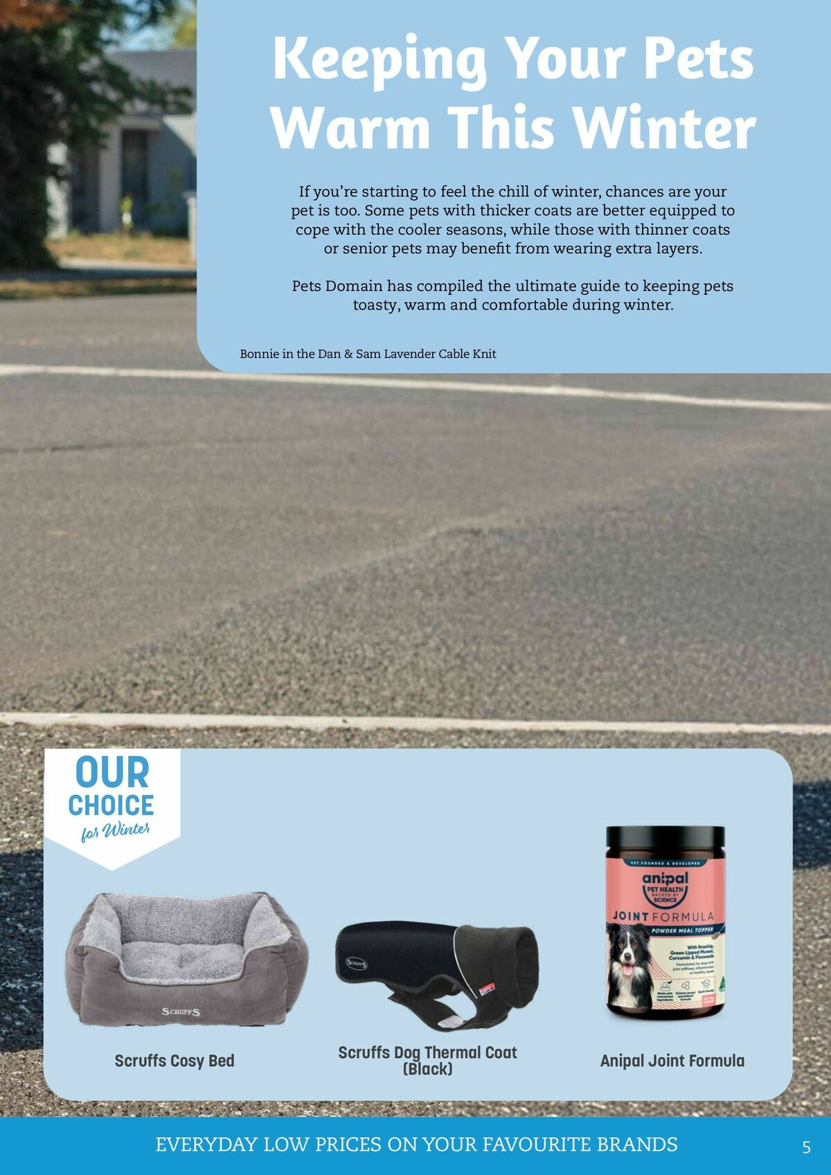 Pets Domain Catalogues from 1 July