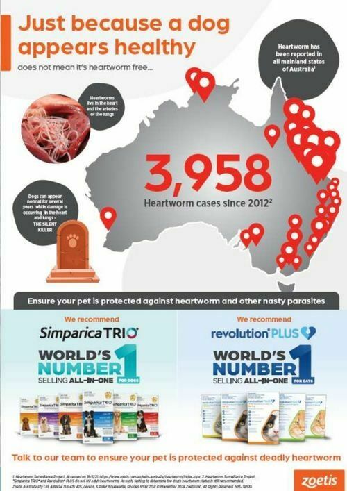 Pets Domain Catalogues from 1 July