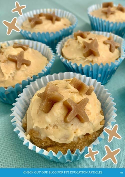 Pets Domain Catalogues from 1 July