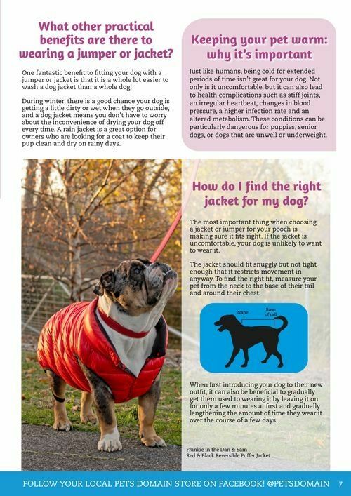 Pets Domain Catalogues from 1 July