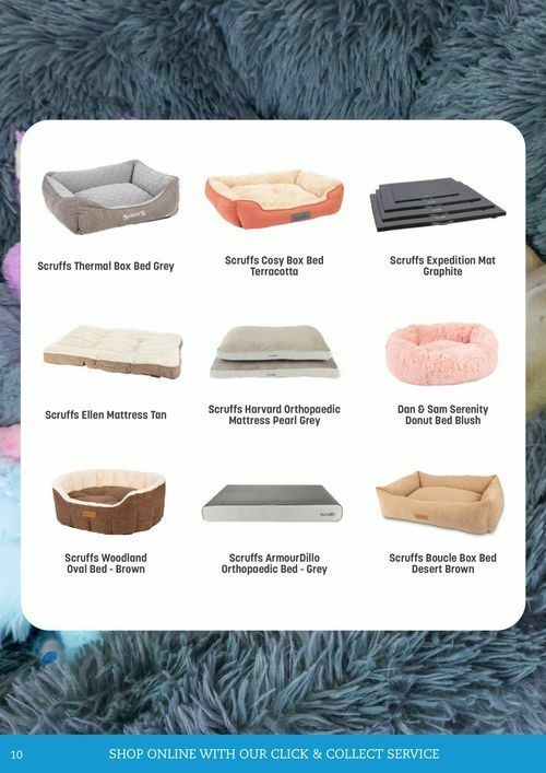 Pets Domain Catalogues from 1 July