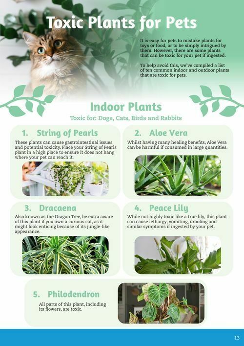 Pets Domain Catalogues from 1 October