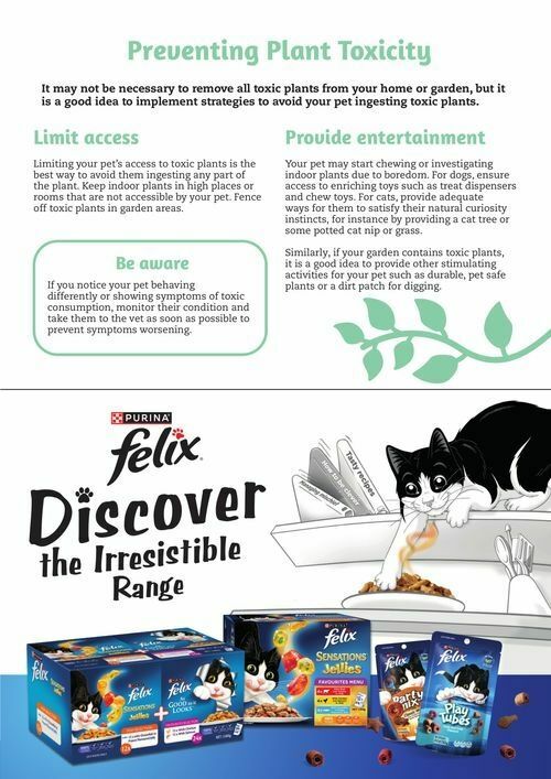 Pets Domain Catalogues from 1 October