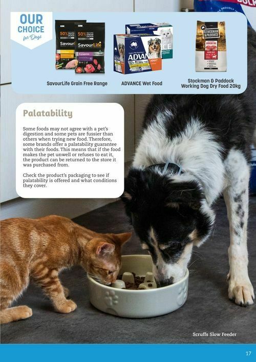 Pets Domain Catalogues from 1 October