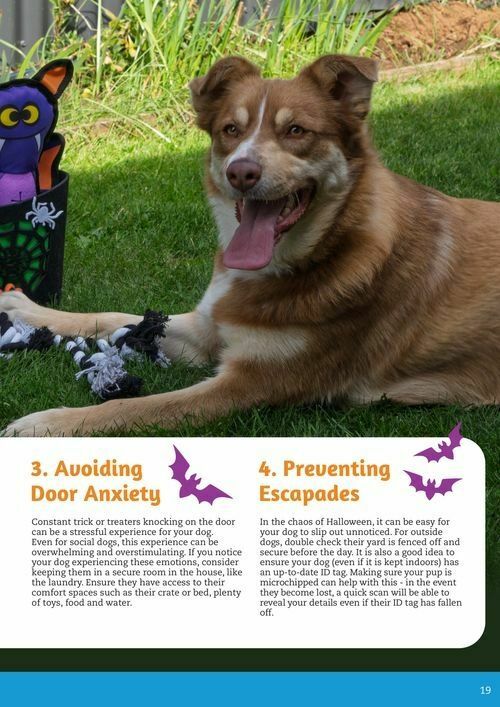 Pets Domain Catalogues from 1 October