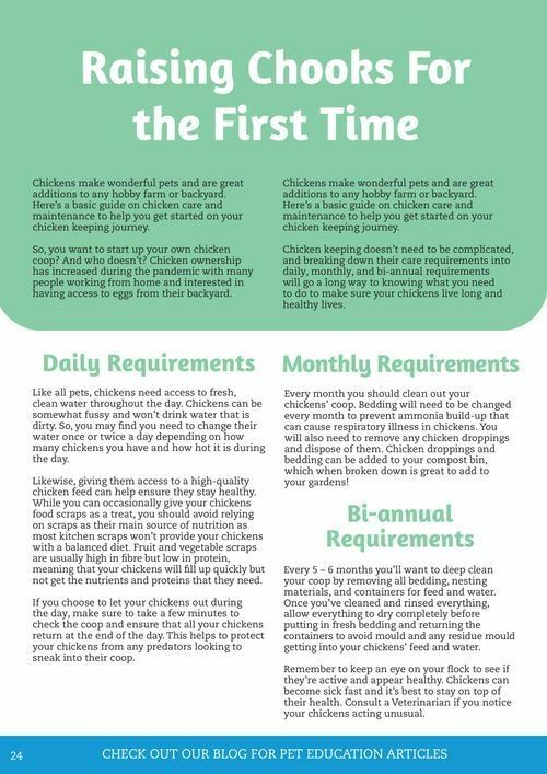 Pets Domain Catalogues from 1 October