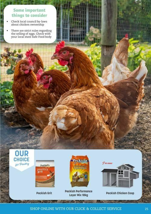 Pets Domain Catalogues from 1 October