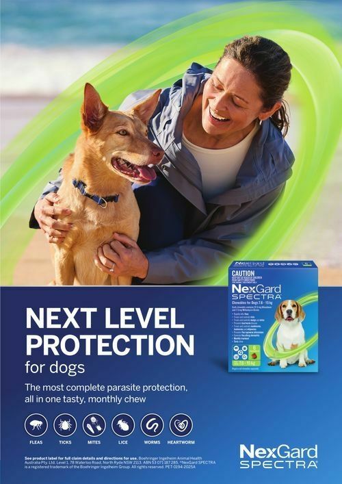 Pets Domain Catalogues from 1 October