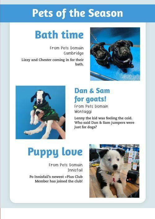 Pets Domain Catalogues from 1 October