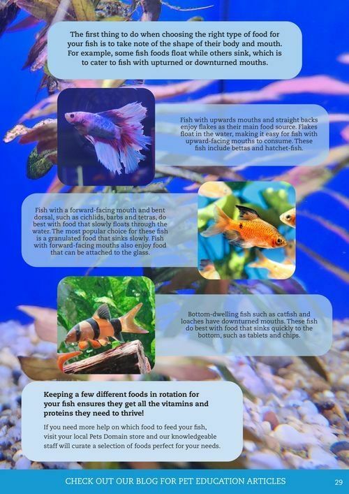 Pets Domain Catalogues from 1 October