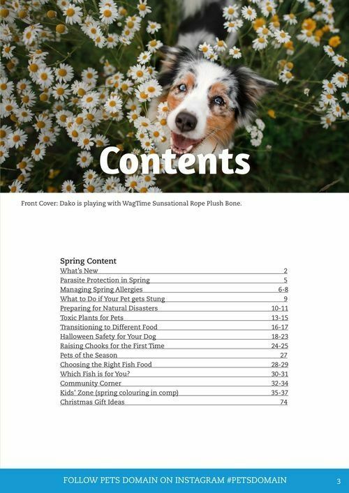 Pets Domain Catalogues from 1 October