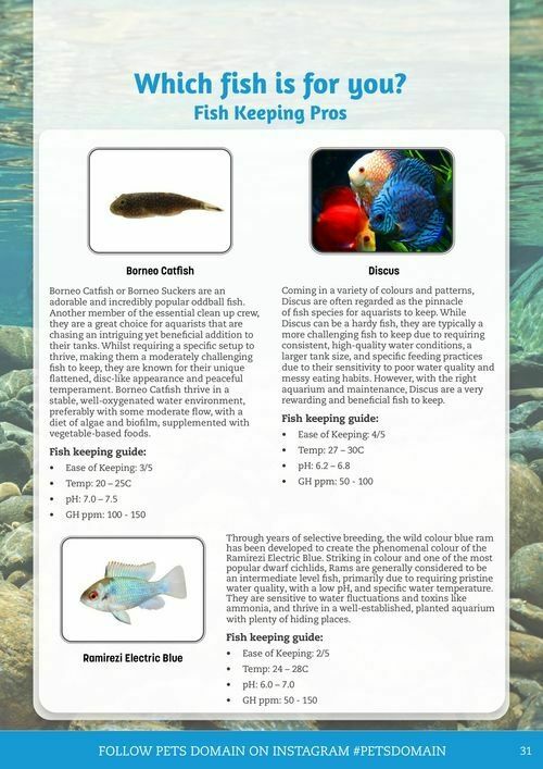 Pets Domain Catalogues from 1 October