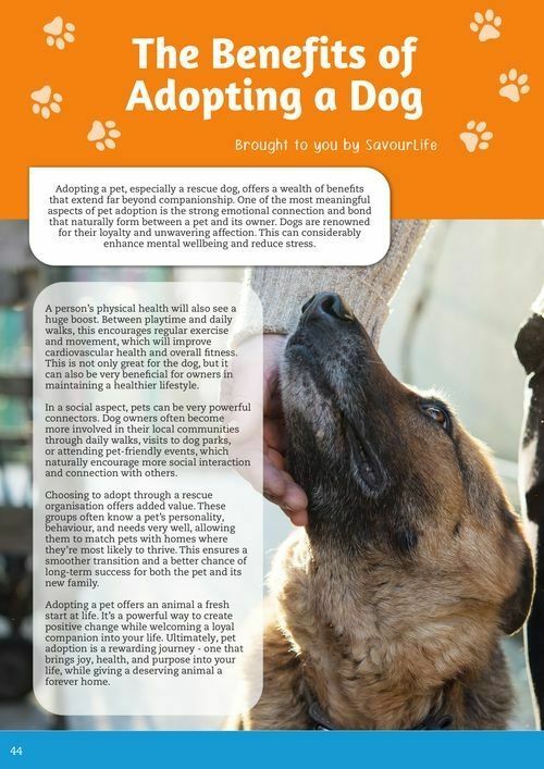 Pets Domain Catalogues from 1 October