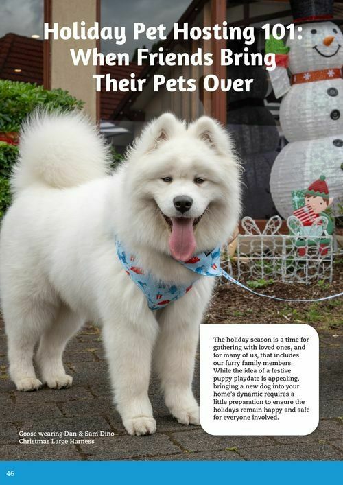 Pets Domain Catalogues from 1 October