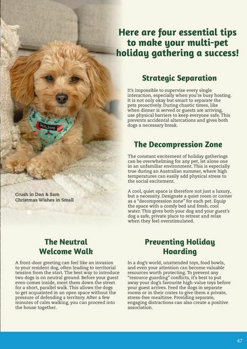 Pets Domain Catalogues from 1 October