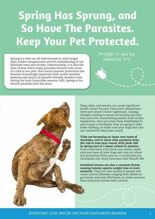 Pets Domain Catalogues from 1 October